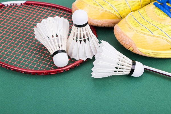 Quels sont les clubs de badminton les plus populaires à Lyon ?